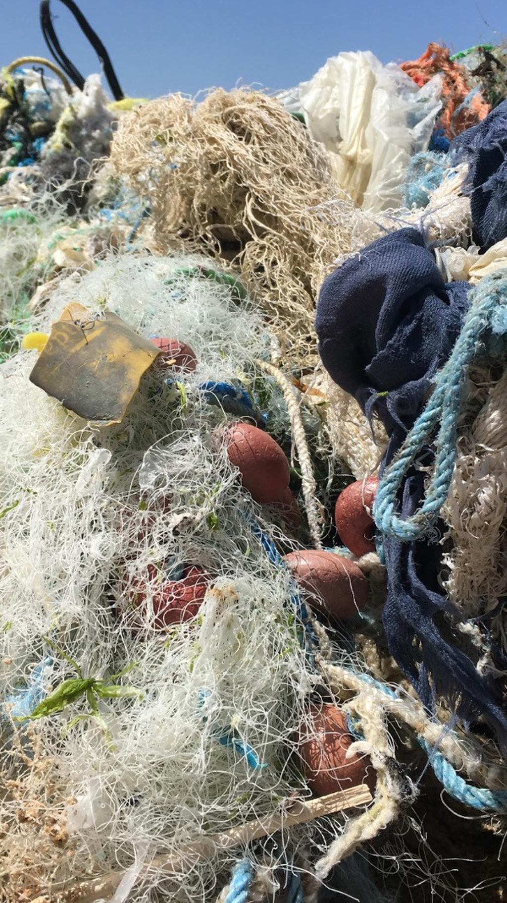 דיווח על פסולת ימית
