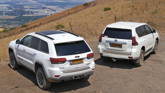 צילום: ניר בן זקן
