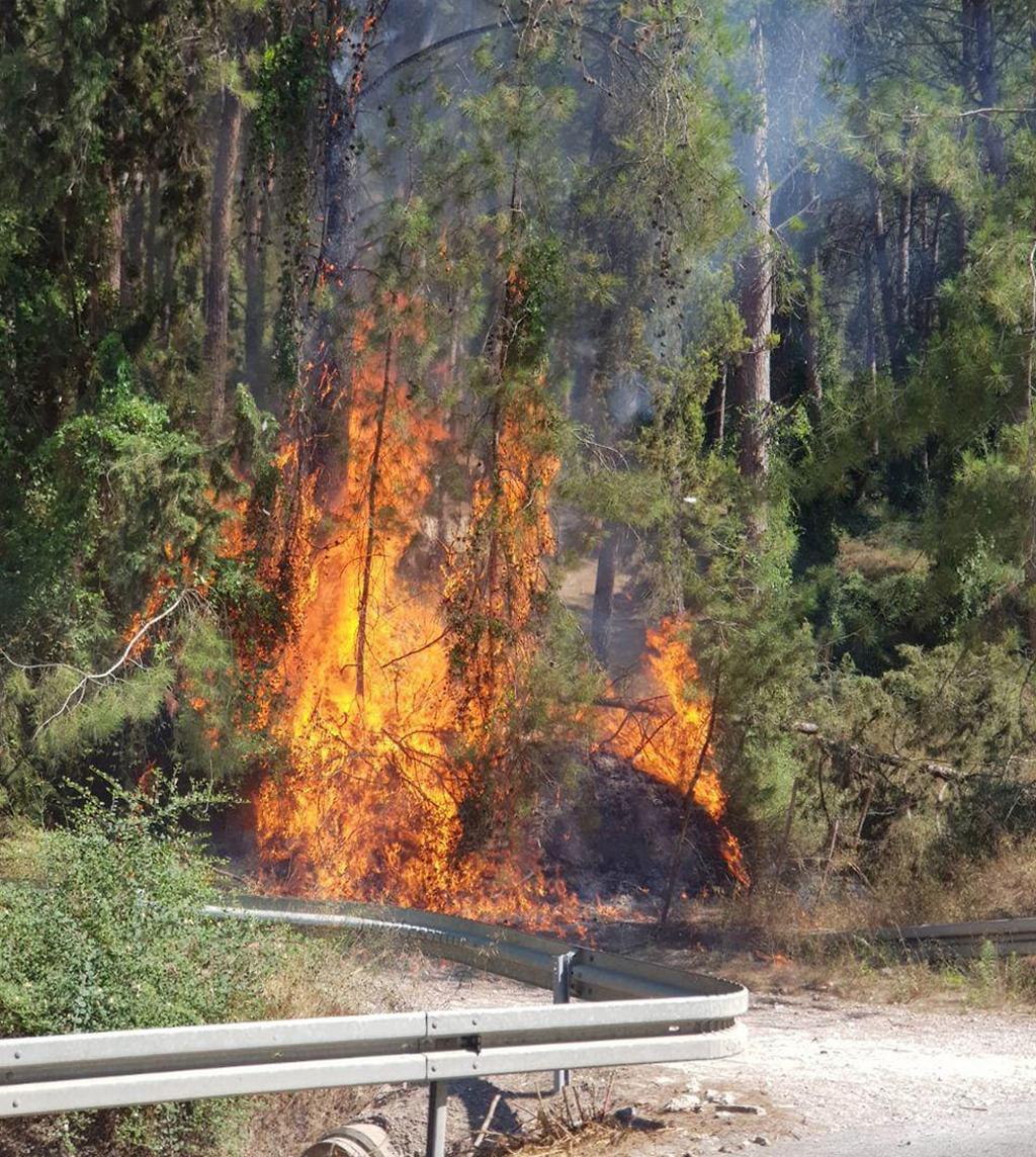 צילום: דוברות המועצה האזורית מגידו השריפה באזור מועצה אזורית מגידו בצפון