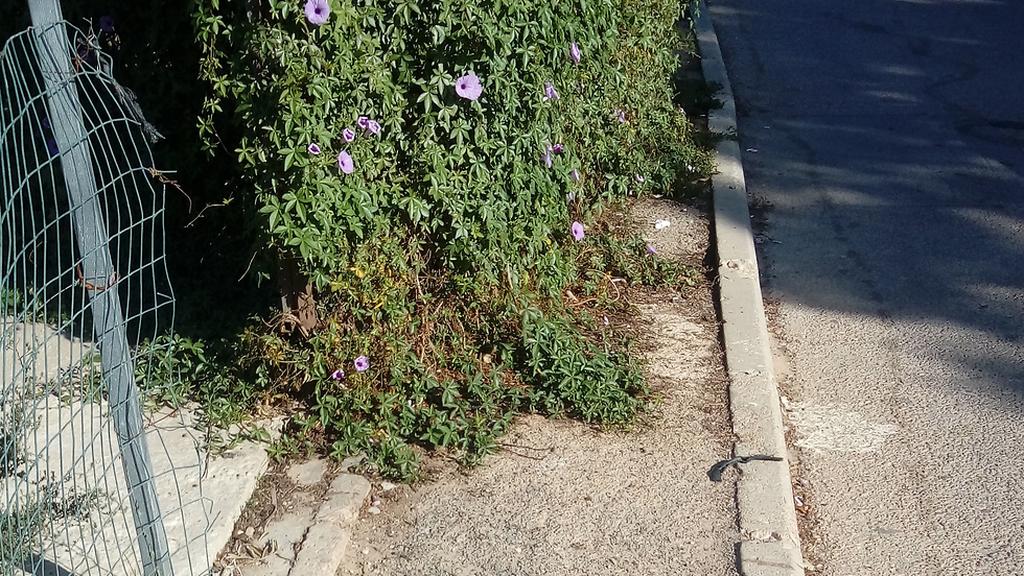 המדרכות החסומות בבאר שבע