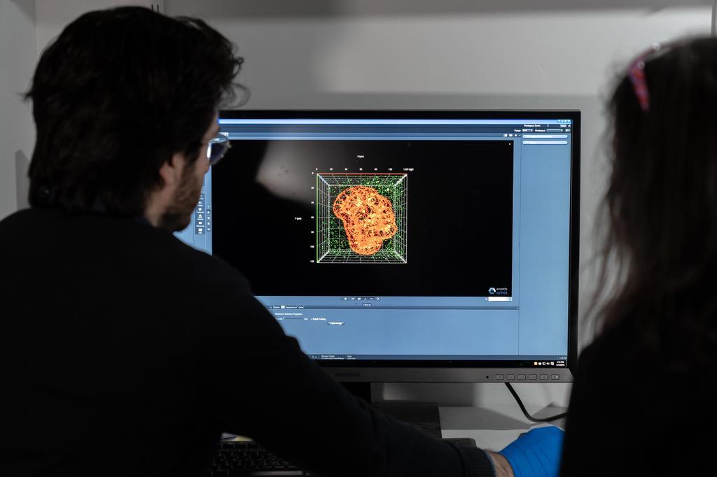 Hebrew University researchers looking at lung cells (Photo: Daniel Hanoch) בחינת תאי הריאה במעבדה באוניברסיטה העברית