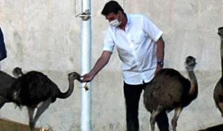 ז'איר בולסונרו ננשך ריאה עוף ארמון נשיא ברזיל
