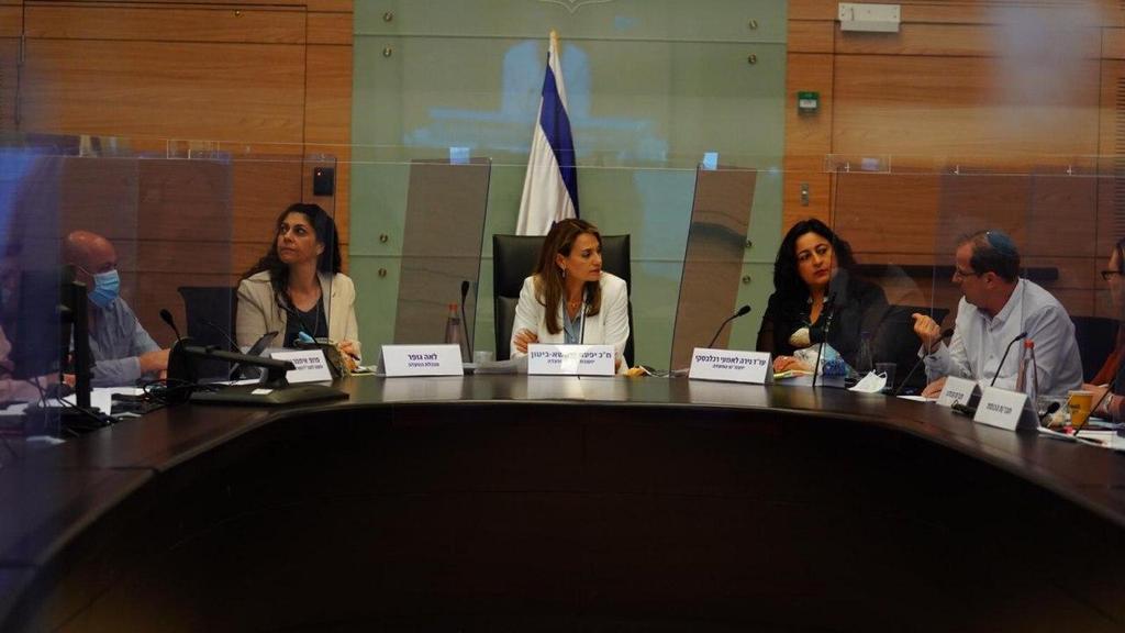 ועדת הקורונה, היום (צילום: עדינה ולמן, דוברות הכנסת) ועדת הקורונה
