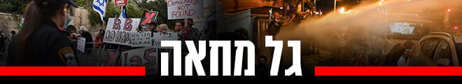 660 גל מחאה (צילום: AFP, צילום: יואב דודקביץ) 660 גל מחאה