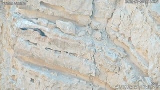 הנשר באוויר