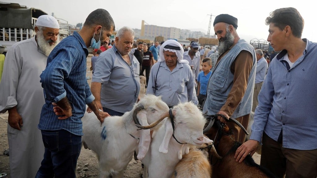 Livestock market near Bethlehem during the feast of sacrifice, Eid al Adha (Photo: Reuters) Livestock market near Bethlehem during the Eid