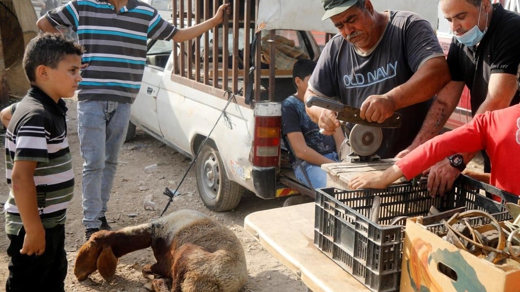 Livestock market near Bethlehem during the feast of sacrifice, Eid al Adha (Photo: Reuters) Livestock market near Bethlehem during the Eid