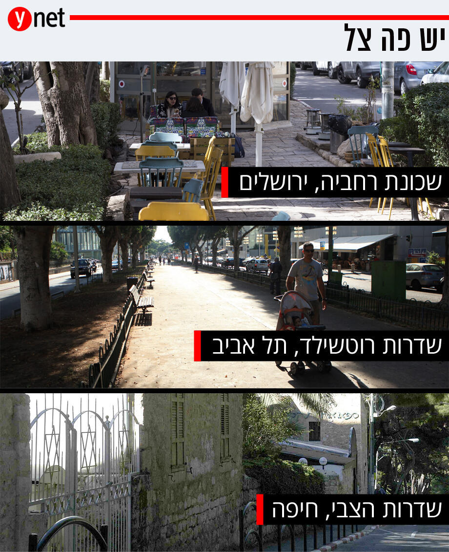 צילום: שי מהלאל, ענר גרין, עמית שאבי