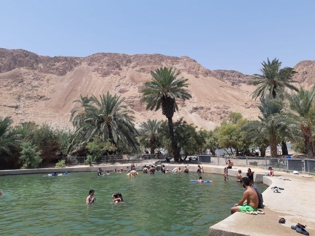 עינות צוקים (צילום: ערן קרוזאל, רשות הטבע והגנים) עיינות צוקיםעיינות צוקים