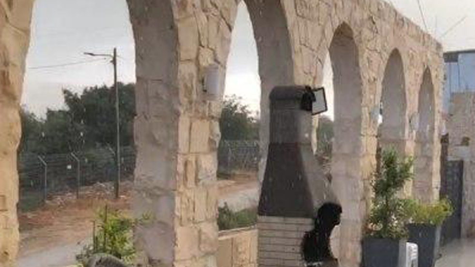 רטוב בנטועה (צילום: דוד רוט) גשם במושב נטועה בגליל העליון