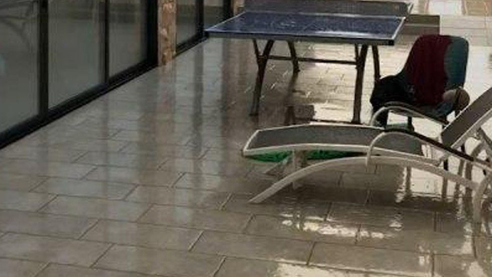 גשם בנטועה בגליל העליון (צילום: דוד רוט) גשם במושב נטועה בגליל העליון