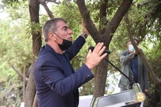 אשכנזי: בודקים דרכים אפשריות למציאת פתרון לטיסות