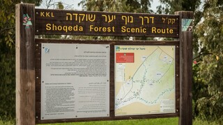 שלט של קק"ל