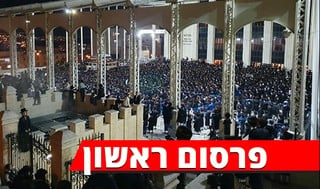  חתונת נכד האדמו"ר מבעלזא
