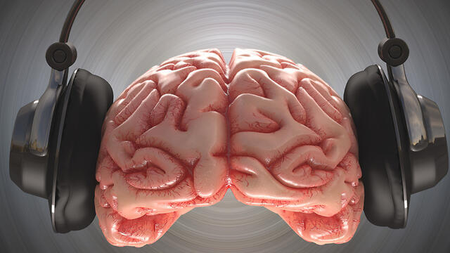 מפעילה אזורים רבים במוח