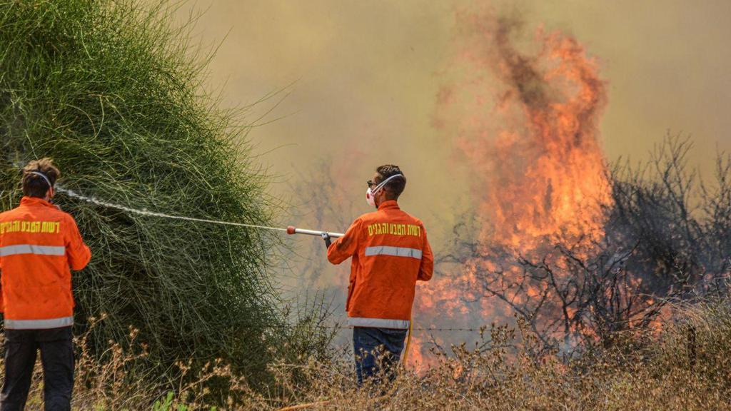 Firefighters battle a blaze started by incendiary balloons from Gaza (Photo: Amnon Ziv) שריפה באור הנר