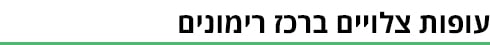 ביניים - אורז (איור: ynet) ביניים - אורז
