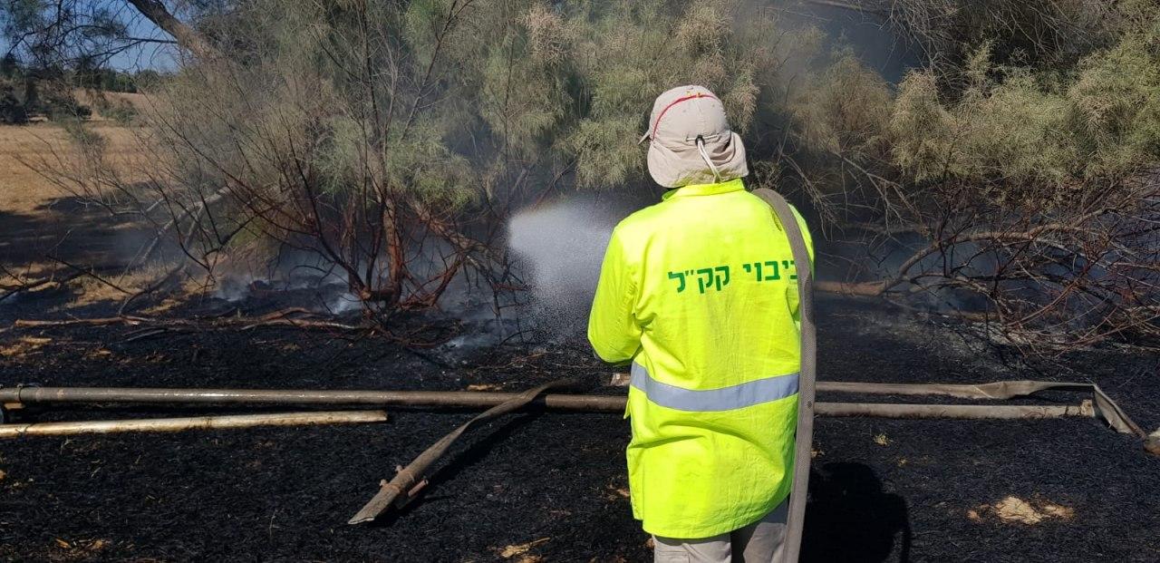 שריפה ביער בארי (צילום: דני בן דוד יערן קק״ל) שריפה ביער בארי