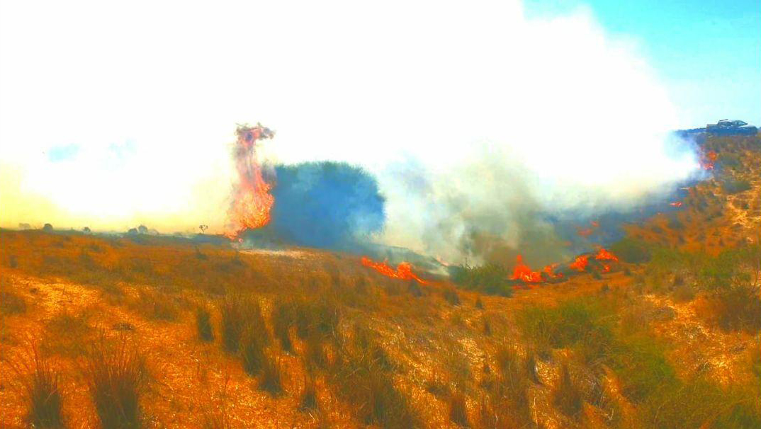 שריפות היום באשכול (צילום: ביטחון אשכול ) שריפות
