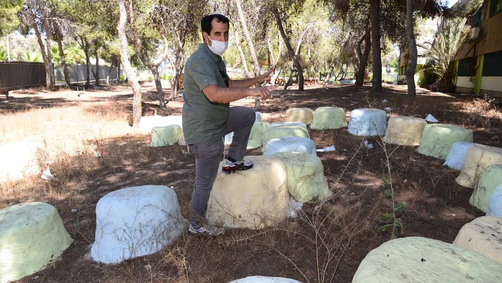 הופכים את החורשה בבאר שבע לכיתה (צילום: הרצל יוסף) חורשה המיועדת ללימוד בבית ספר אמית בבאר שבע
