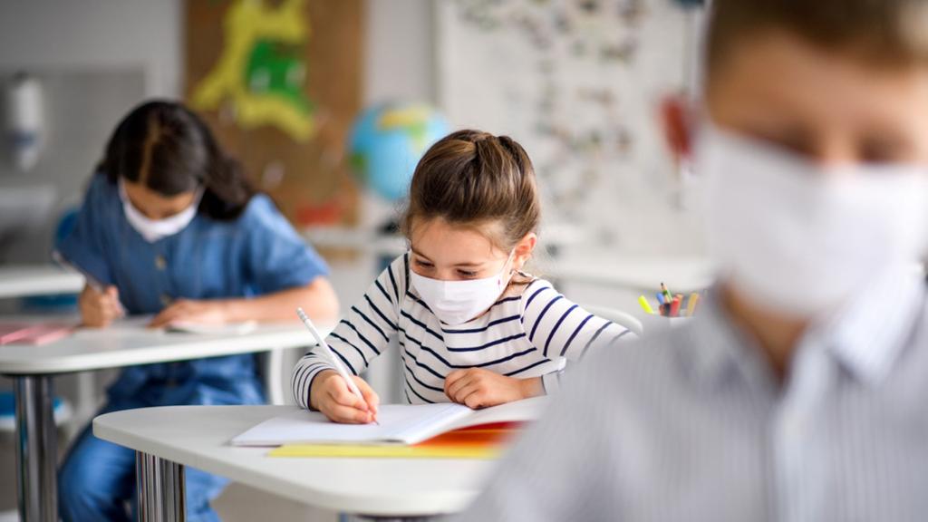 נפגשים רק בקפסולות (צילום: shutterstock) לימודים בימי קורונה