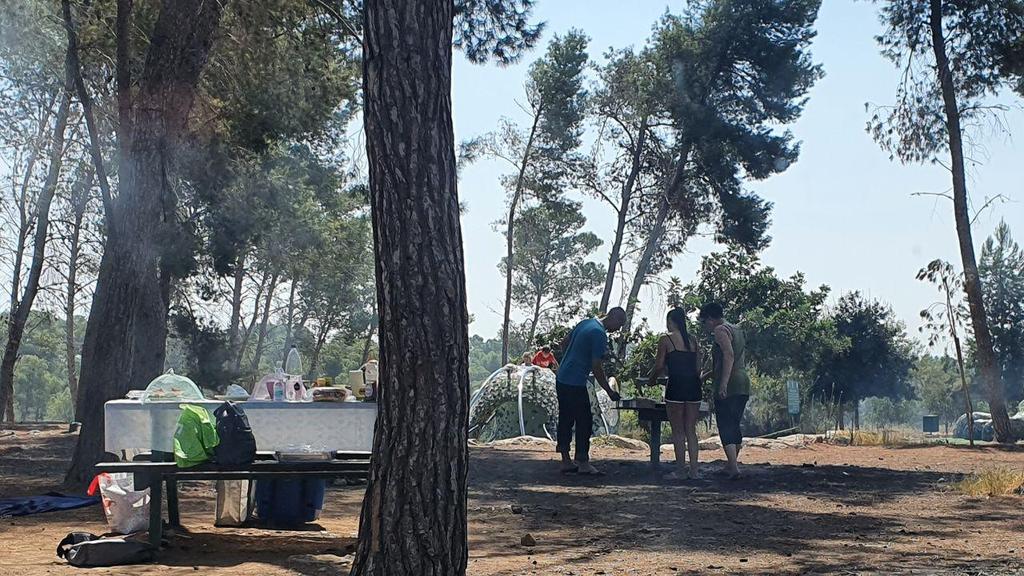 יער המלאכים בסמוך לקריית גת (צילום: בראל אפרים ) יעל המלאכים בסמוך לקריית גת