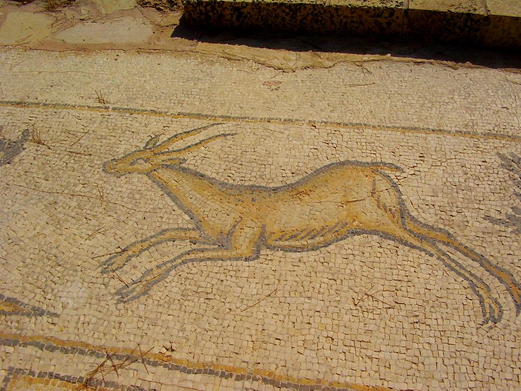 Byzantine-era mosaic of a gazelle in Caesarea 