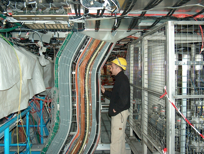 ד"ר אנריקה קחומוביץ בגלאי אטלס (צילום: CERN) ד"ר אנריקה קחומוביץ בגלאי אטלס