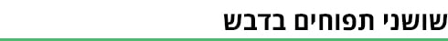 ביניים (איור: ynet) ביניים