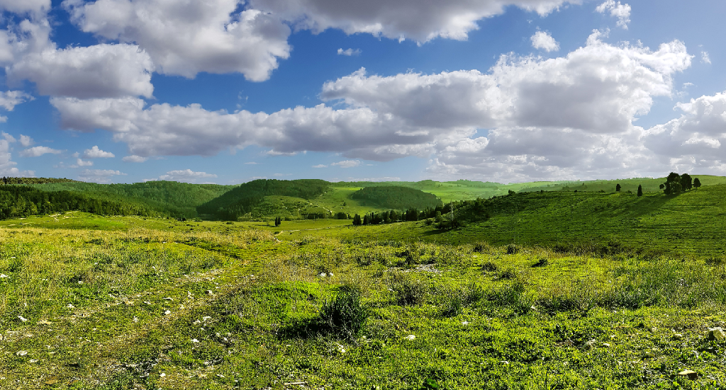 עמק השלום (צילום: אייל בן חיים) עמק השלום