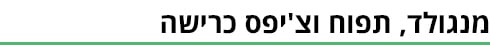 ביניים