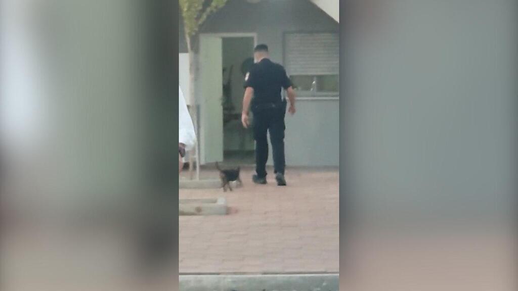 חשד לניסיון רצח במצפה רמון