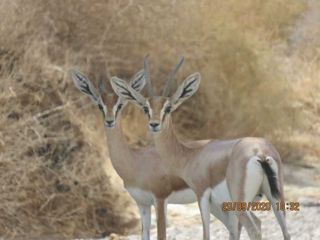 נהנים מהשקט בשמורת הנחלים הגדולים