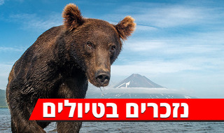 נזכרים בטיולים קמצ'טקה