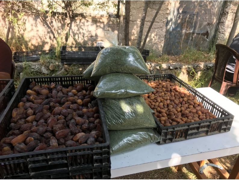 Dates for sale at Ramallah souk run by the Palestinian ‘peasants’ (Photo: Fatina Hamad) Dates and other products marketed by the ‘peasants’
