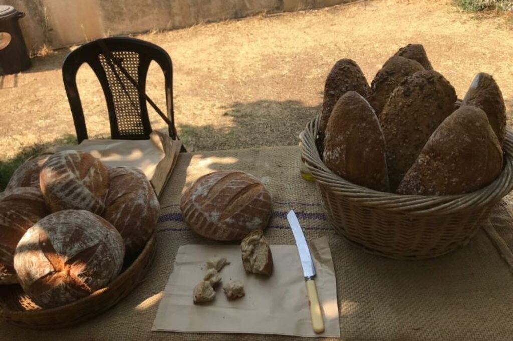 Tamara Shatara’s sourdough bread on sale in the Ramallah souk (Photo: Fatina Hamad) Bread and other products marketed by the ‘peasants’