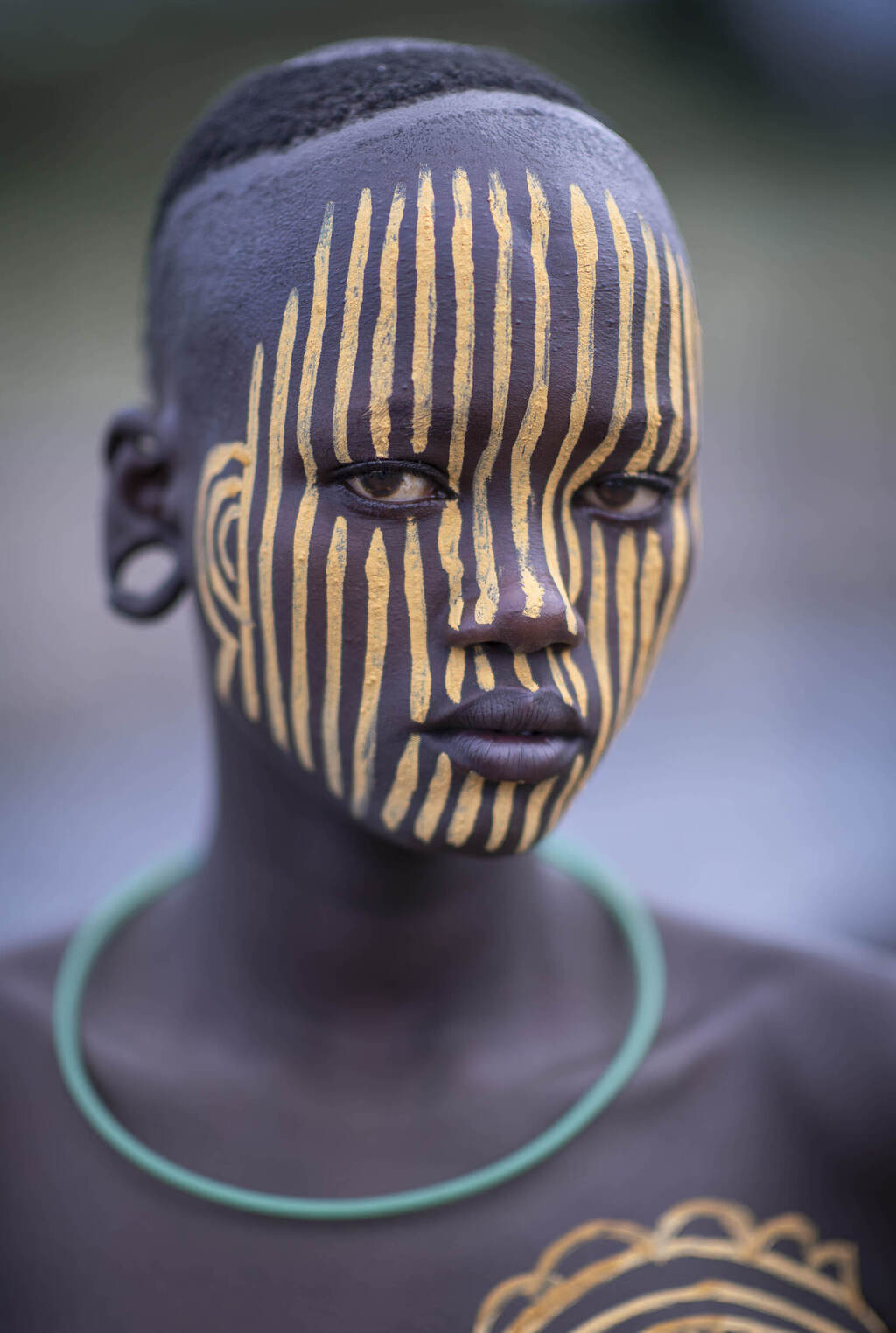 פסים יפים (צילום: David Mierowsky, Better Photography Magazine Photo of the Year 2020) פסים יפים