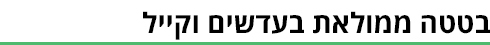 ביניים