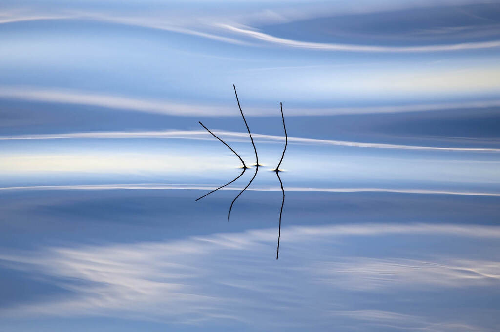אקסקליבר (צילום: Graham Green, Better Photography Magazine Photo of the Year 2020) אקסקליבר