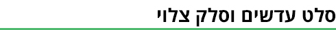 ביניים