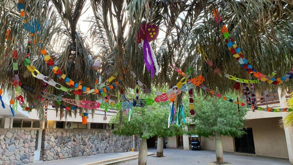 הרחבה המרכזית הפכה לסוכה (צילום: קיבוץ אילות, הערבה הדרומית) סוכות בקיבוץ אילות