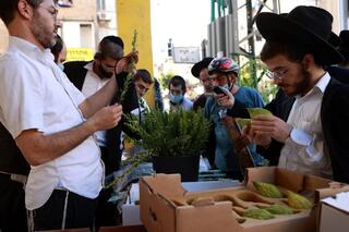שוק ארבעת המילים בבני ברק בערב סוכות