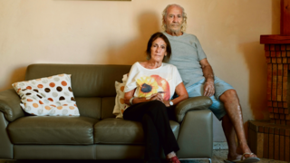 משפחת דגמי