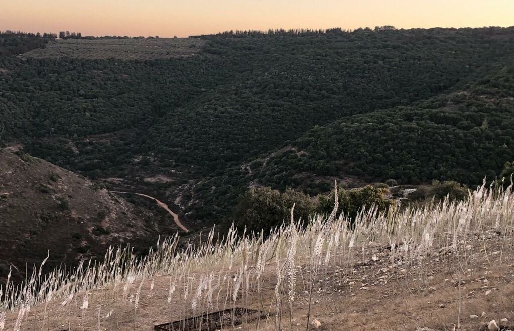 חצבים ביודפת העתיקה (צילום: אורי ארליך, רשות הטבע והגנים) חצבים ביודפת העתיקה