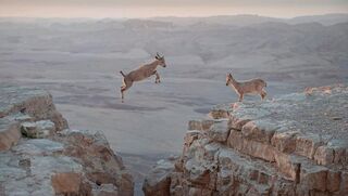 יוסי אשבול, "תמיד טוב שיש מישהו שמחכה בצד השני"