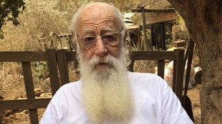 שי זלצר 