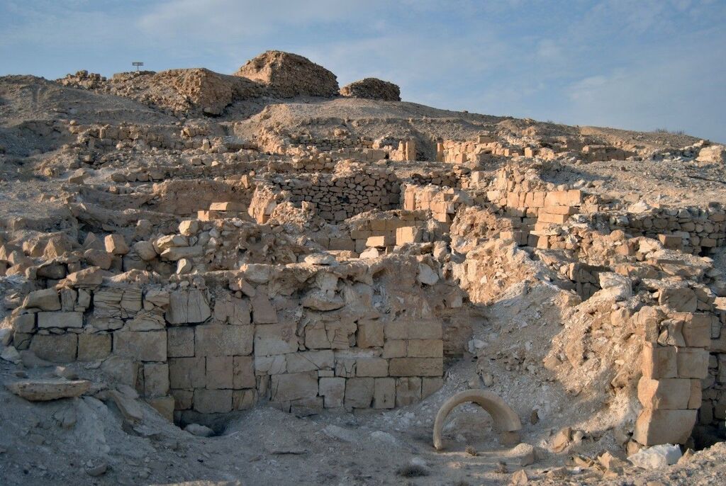 חורבות ניצנה (צילום: דון באטלר) חורבות ניצנה