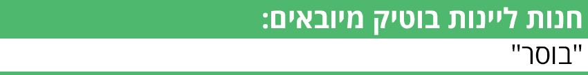 ביניים (גרפיקה ynet) ביניים
