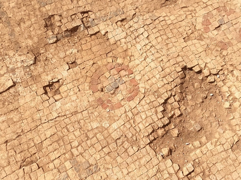 דגמי צלבים על רצפת הפסיפס (צילום: יניב כהן, רשות הטבע והגנים) דגמי צלבים על רצפת הפסיפס
