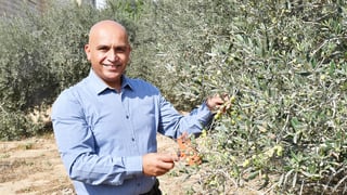 פרופסור ג'יהאד אל סאנע